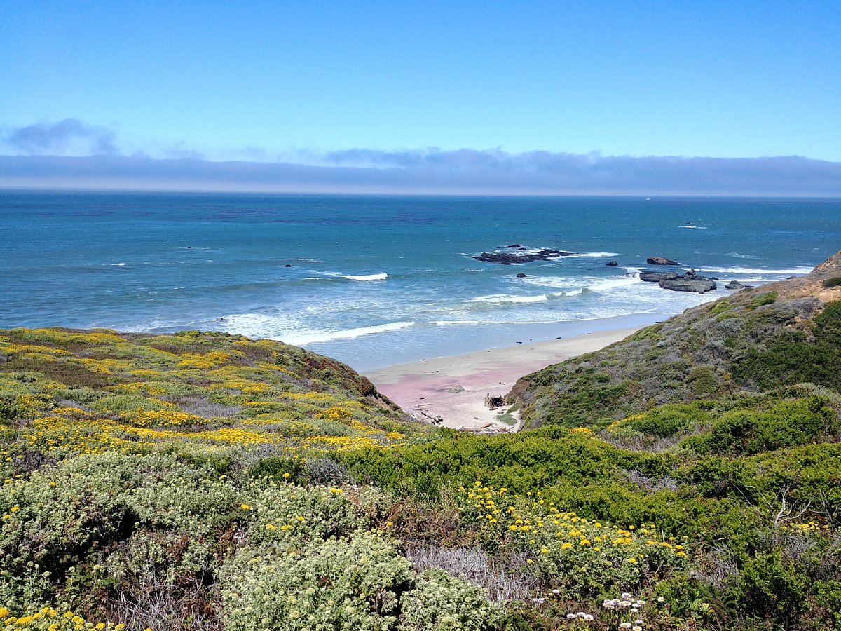 Big Sur Wedding Venue