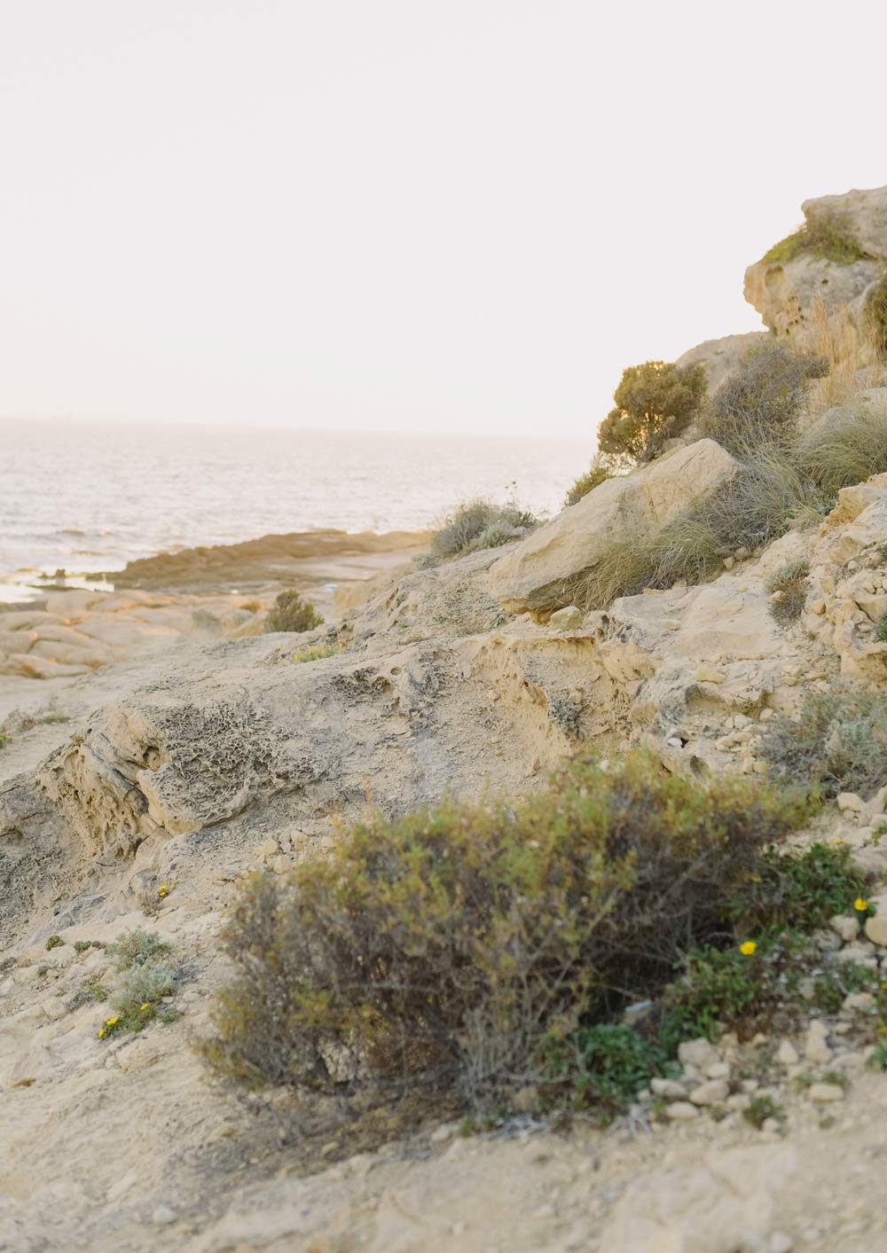 Arielle & Max | An SC Elopement