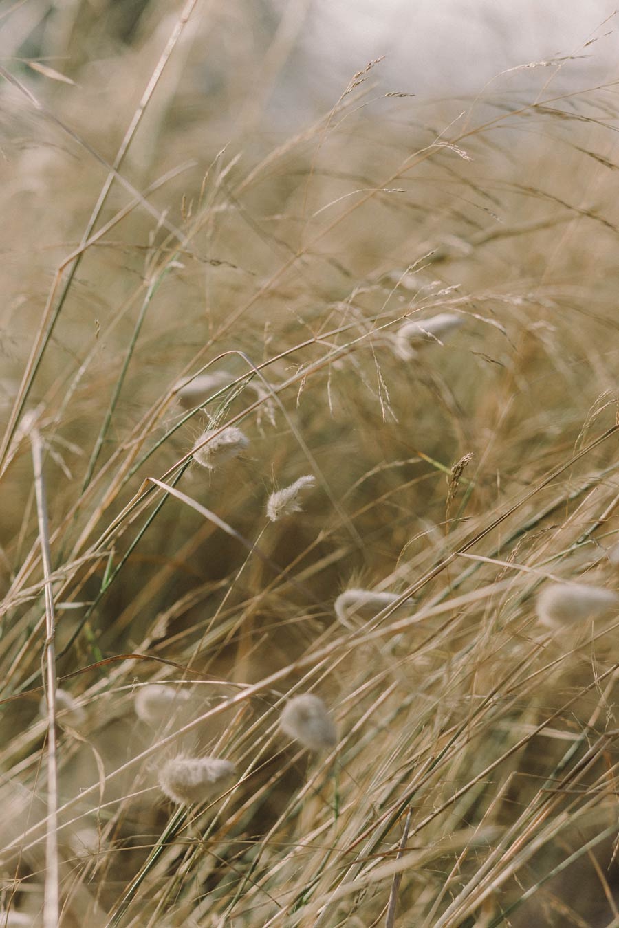 Are You Growing With Your Photography Business?
